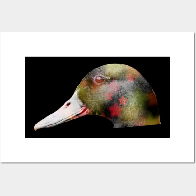 Duck Disco Wall Art by druscilla13